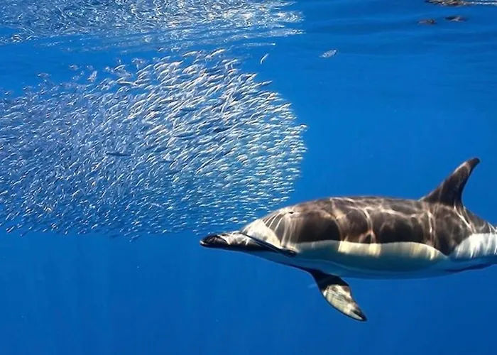 Apartament Hermoso Piso En Poris De Abona - Salt & Escape Poris