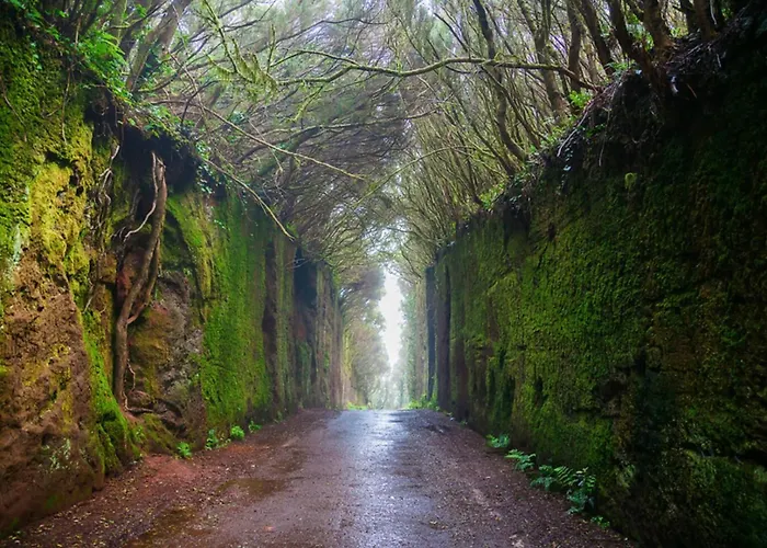 Hermoso Piso En Poris De Abona - Salt & Escape Poris